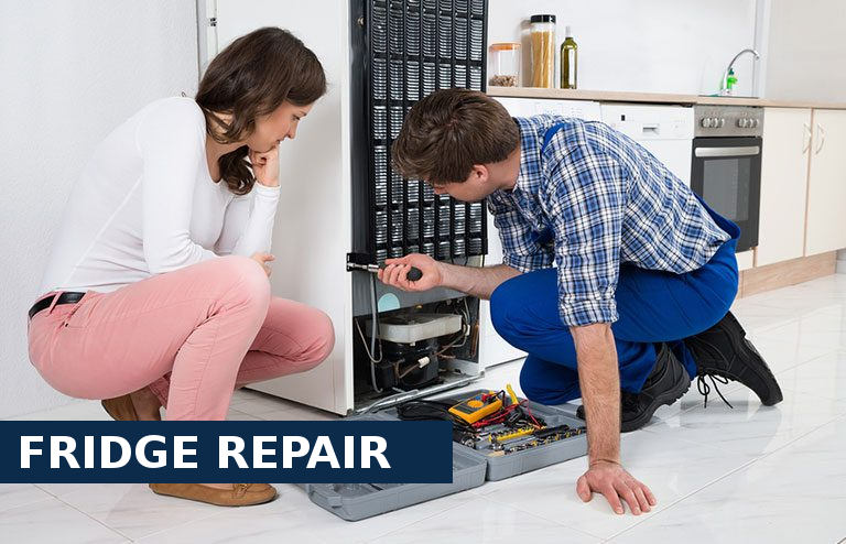 Fridge Repair Molesey